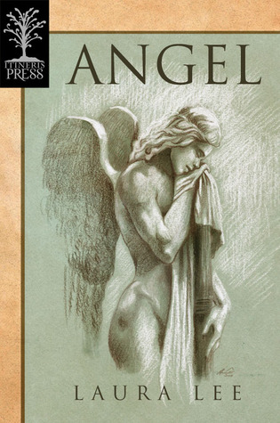 Angel Novel